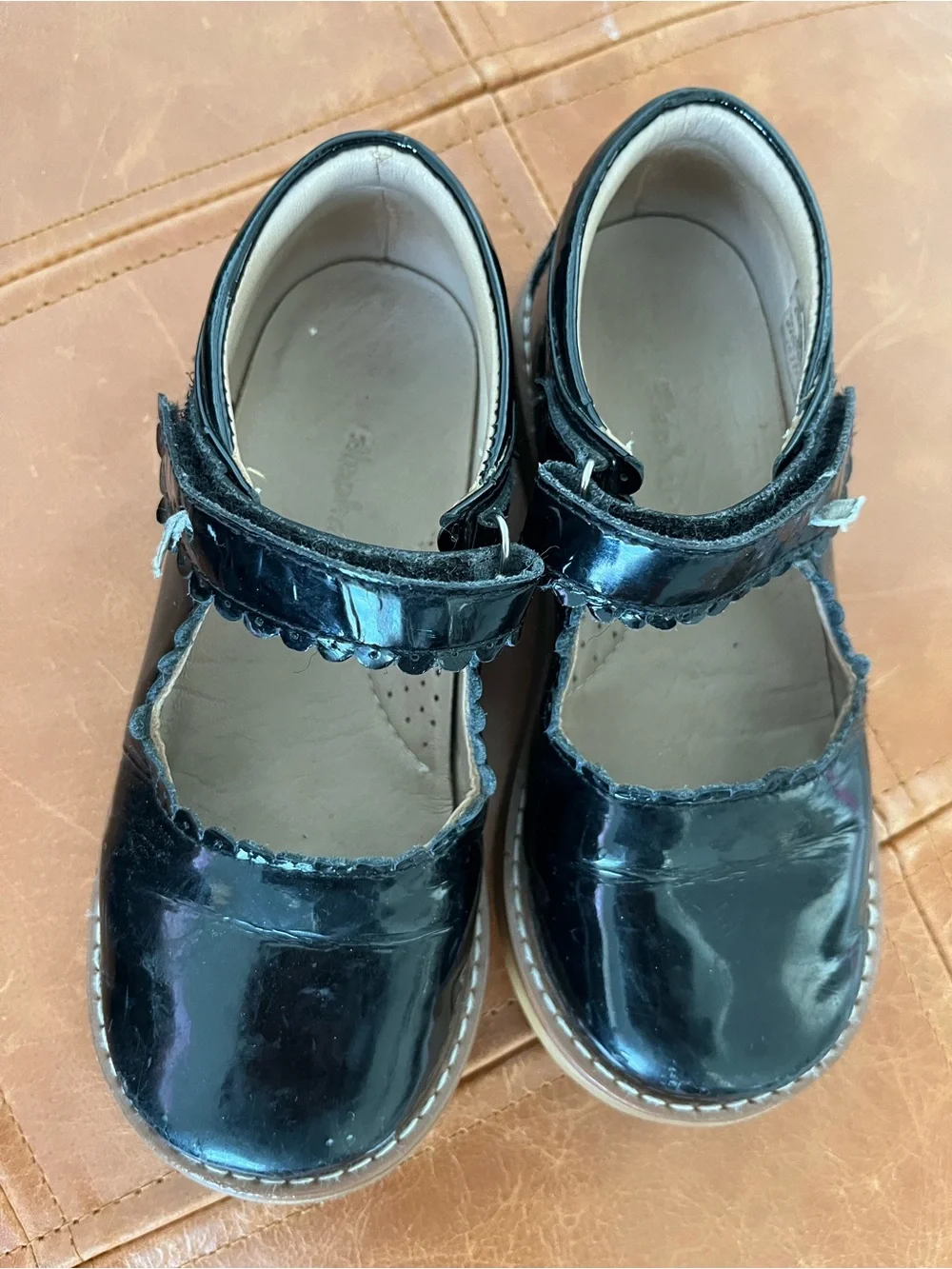 Elephantito patent black
